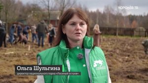 С заботой о природе: более 2 тыс. деревьев высадили волонтёры в «Лосином острове»