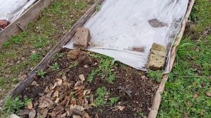 5ноябрь.Листья для грядок.