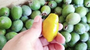 Мандарин Фейхоа)