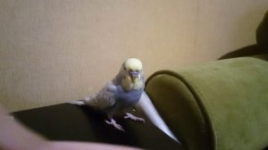 песня ягода-малинка о-о крутит головой и залетает в топ какая-то грустинка холодная картинка хлопают