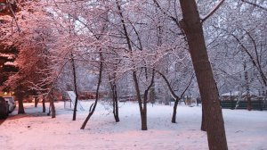 воспоминания