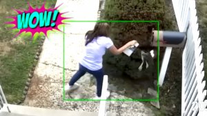 СМЕШНЫЕ ВИДЕО: ПРИКОЛЫ, КОТОРЫЕ ПОДНИМУТ НАСТРОЕНИЕ