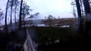 Один момент с осенней охоты 2025