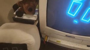 MR TENNAS INTRO ON A SENTIENT CRT TV