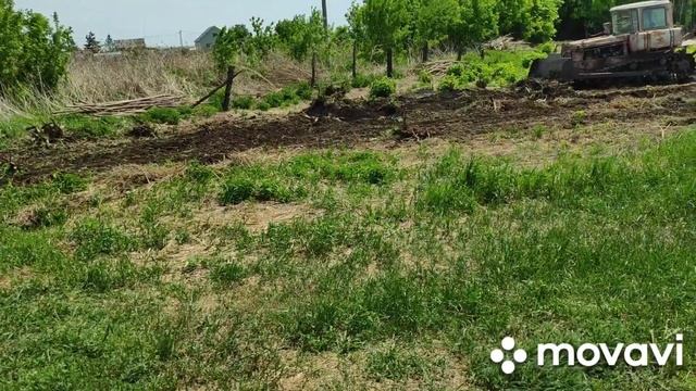 Купили участок в деревне 4. Загнали трактор. Расчистка участка.