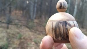 Шкатулка в ноябрьском лесу на берёзке с грибами