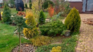 Дача не отпускает🙃Даже в ноябре есть работа🍂🍁🍂#дачныехлопоты