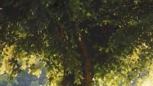 Истории из жизни|Искал работу, а нашел любовь|Аудио рассказы|Аудиокниги слушать онлайн|Жизненные