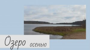 Озеро осенью 8.11.2025 года.