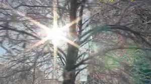 "МИМОХОДОМ", 8 ноября 2012 год. Автор проекта О. Дзиов