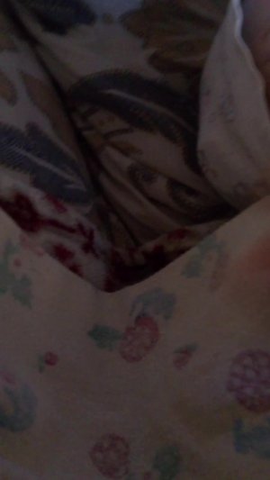 Реборн Илона