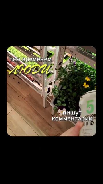 Зарабатывать деньги может КАЖДЫЙ! смотреть онлайн