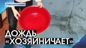 Осенние дожди наполнили квартиры дончан! Почему люди боятся за жизни своих детей?