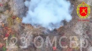 Они думали, что хорошо спрятались...В работе 123 бригада "Самарканда"