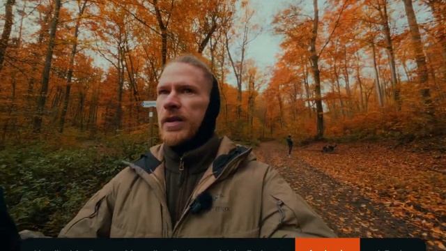 Аудиотест DJI Mic 3