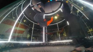 07.11.2025 ТАРЗАН и ЗМЕЙ АЭРОДИНАМИКА #Аэротруба #полетывтрубе #полет #парашют #аэродинамика