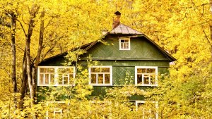 Дача осень запоздавшее потерянное видео