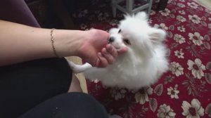 Влог от 08.09.2021