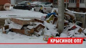 Нашествие крыс беспокоит жителей микрорайона под Иркутском