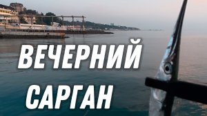 Рыбалка в Сочи // Вечерний сарган