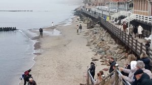 Зеленоградск в ноябре.