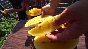 VLOG: Собираем урожай спустя две недели отдыха/ Экзотика- это не наше/ Какая стала Настурция