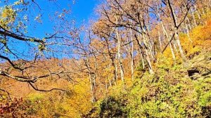 Видео отчет о ретрите на Красной поляне 2025