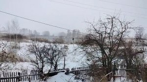 окончательная подготовка пчëл к зиме