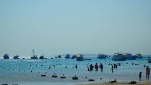 Египет 2025. Подводный мир