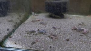 хитрый рынок