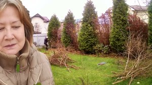 Опять не сидится. Удалила пузыреплодник. Ландшафтный дизайн своими руками.