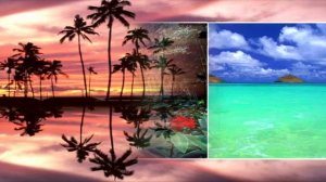 Joel Kanning - In Excelsis