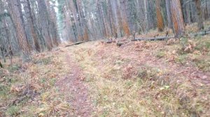 Субботняя прогулка!