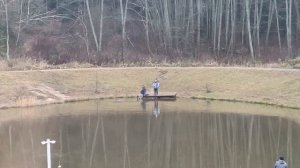 Forest Fishing 08.11.25