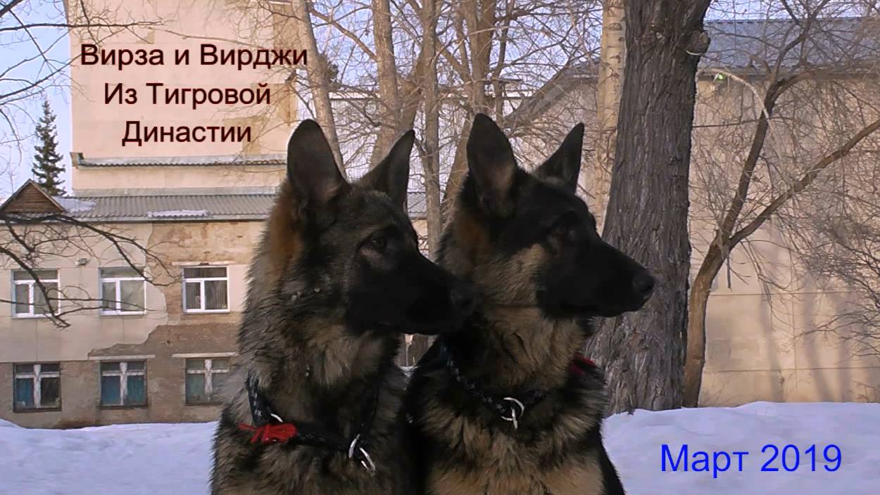 Это сладкое слово - свобода!