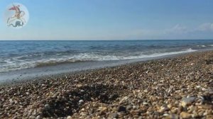 В чём Смысл Жизни! А если Христос не воскрес, то и проповедь наша тщетна