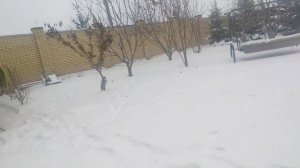 вау снег в ноибре