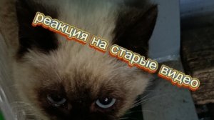 реакция на старые видео