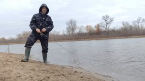 Охота на окуня