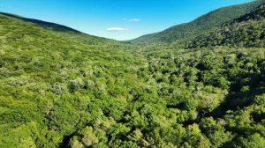 Umar Keyn - Lucky guy (Orginal Mix)