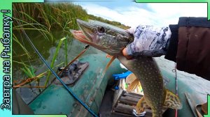 Ищем щуку - Катаемся по прудам Панинского района Воронежа