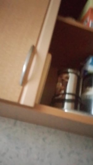 мы одни дома