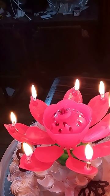 Happy birthday to me