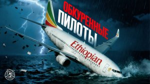 Зачем они СЪЕЛИ ЭТО? Рейс 409 компании Ethiopian Airlines, Boeing 737