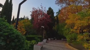 Сходили в сквер в магазин с Рыжиком. Цены на рыбу