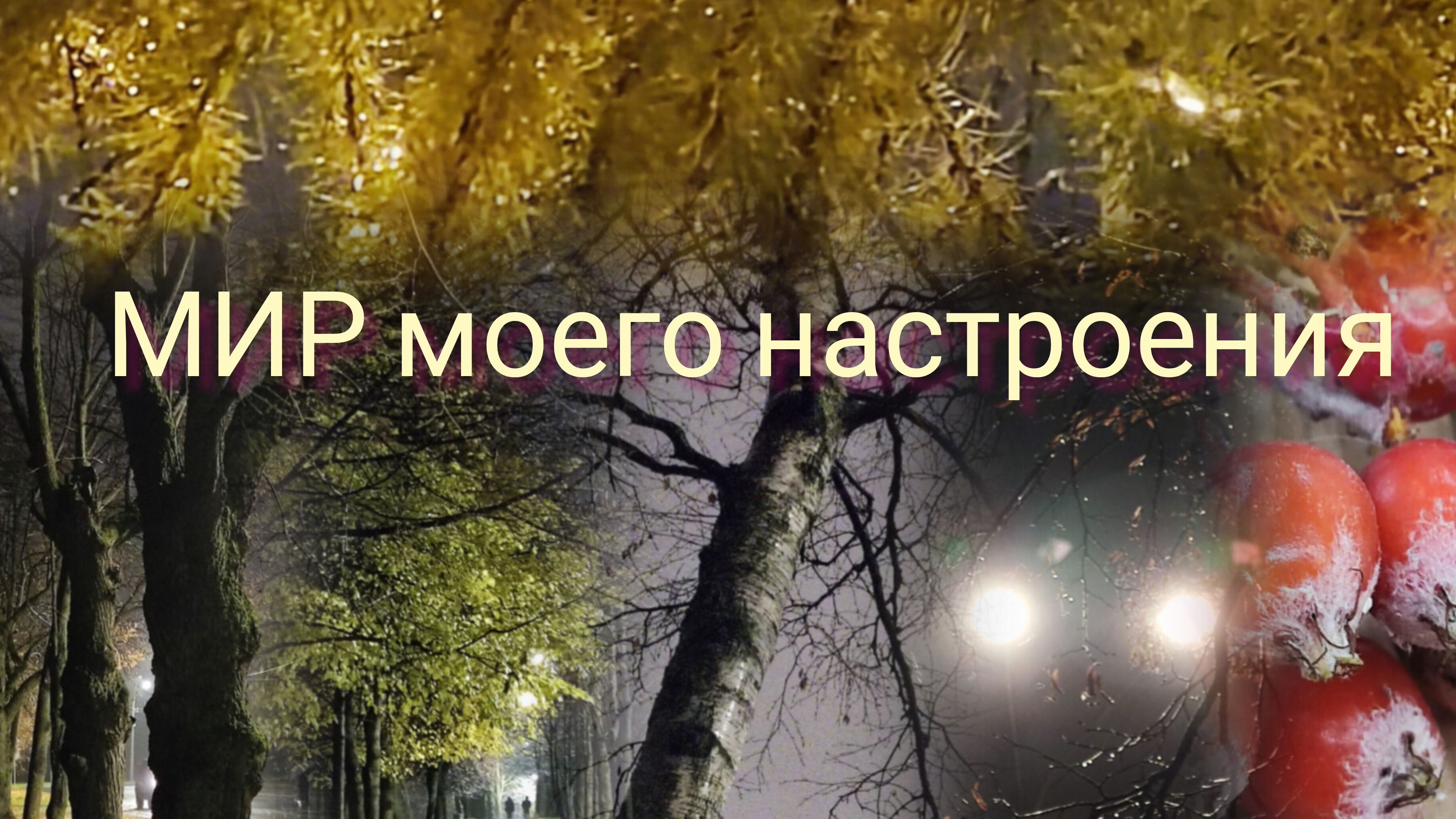 07.11.25 Прогулка под дождём вечером в пятницу