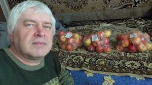 Сегодня 8 ноября 2025 год. Яблоки в пакетах. Геннадий Горин