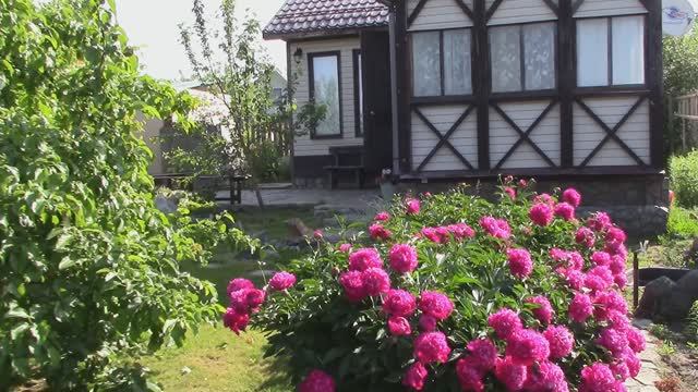 Наша дача. Апрель. Май. Июнь 2025 смотреть онлайн