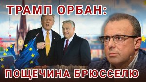 🧭 Мир Трампа, какой он? Новая архитектура безопасности и влияния на мир
