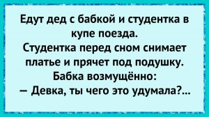 Вот это попутчица попалась!